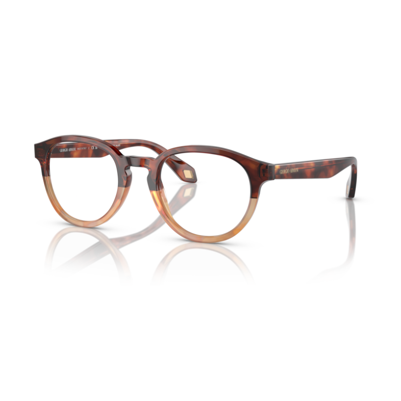 Glasses GIORGIO ARMANI AR 7248 6034 48