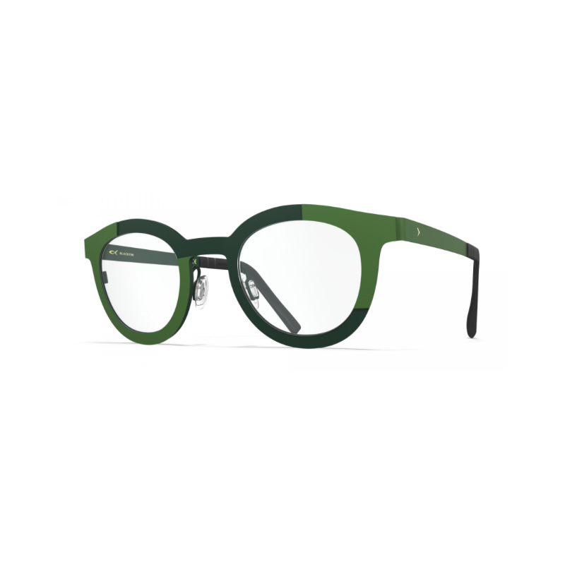 Glasses BLACKFIN PALAU BF1055 1690 45