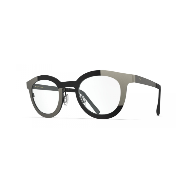 Glasses BLACKFIN PALAU BF1055 1682 45