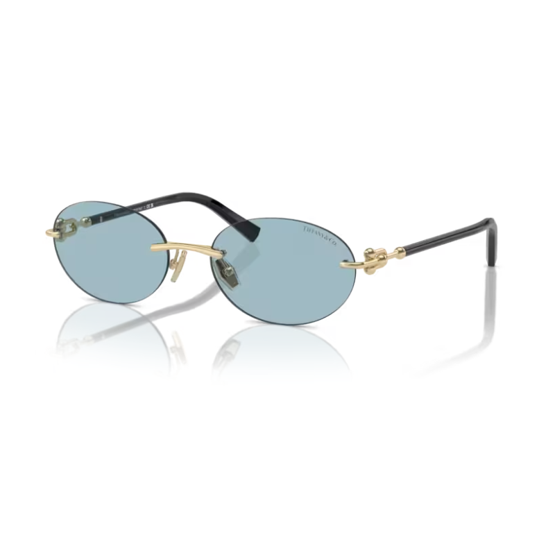 Sun Glasses TIFFANY & CO. 3104 D 6021 80 56