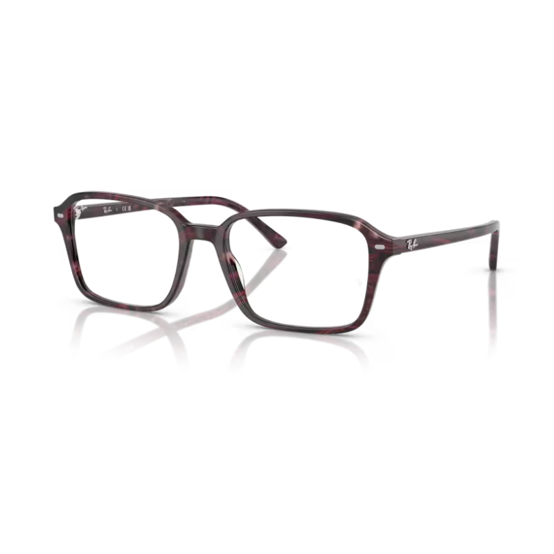 Glasses RAY BAN RAIMOND RB 5431 8393 54