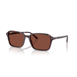 RAY BAN RAIMOND RB R2231S...