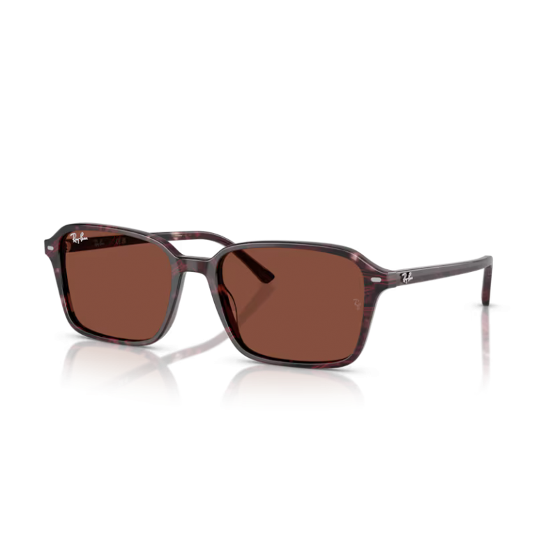 Occhiali da sole RAY BAN RAIMOND RB R2231S 1418/C5 56