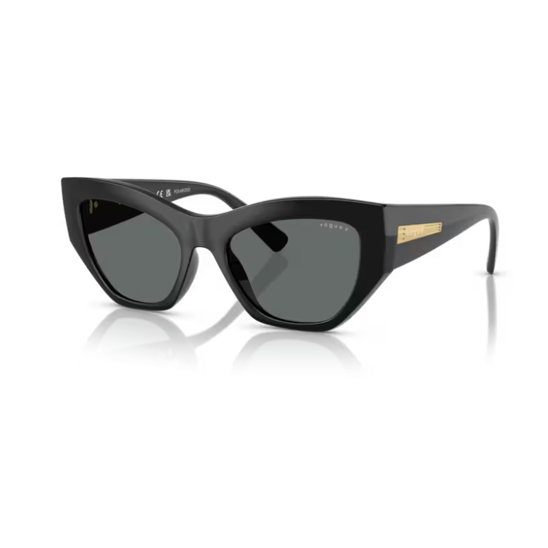 Sun Glasses VOGUE VO 5607 S W44 81 53