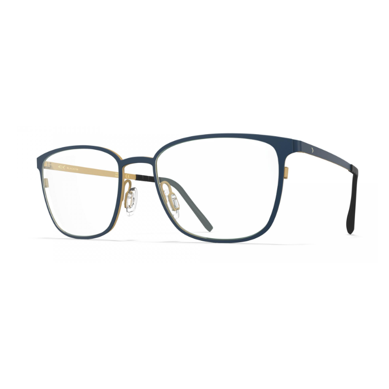 Glasses BLACKFIN SKAGEN BF1050 1671 53