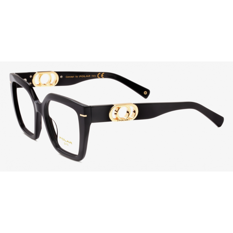 Glasses POLAR GOLD 1003 77 53