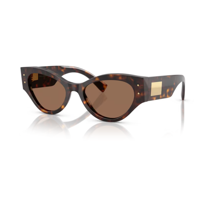 Sun Glasses DOLCE & GABBANA DG 4480 502 73 53