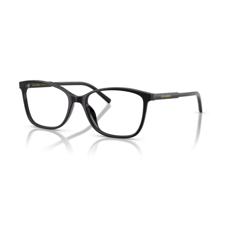 Glasses DOLCE & GABBANA DG 3424 5010 54