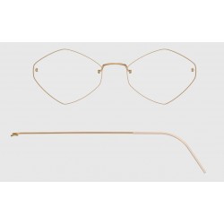 LINDBERG SPIRIT 2432 P60 49