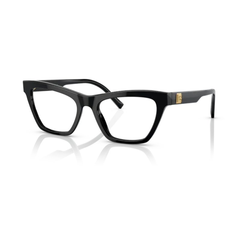 Glasses DOLCE & GABBANA DG 3359 501 53